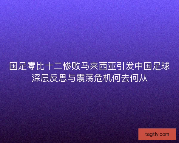 国足零比十二惨败马来西亚引发中国足球深层反思与震荡危机何去何从