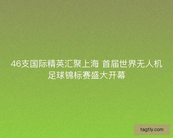 46支国际精英汇聚上海 首届世界无人机足球锦标赛盛大开幕