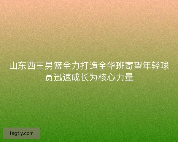 山东西王男篮全力打造全华班寄望年轻球员迅速成长为核心力量